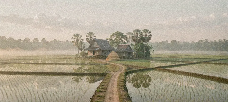 A misty planting-season rice village: flooded paddies reflecting stilt houses and sugar palms, a dirt track winding between them.