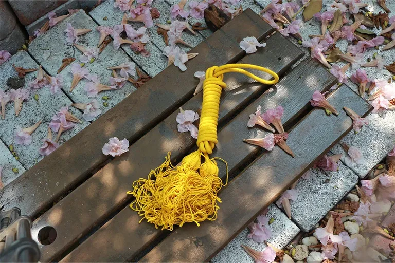 _0000_Yellow